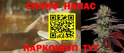 шишки Будённовск