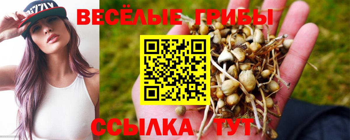 Белогорск  Галлюциногенные грибы Psilocybine cubensis  Вход с VPN 